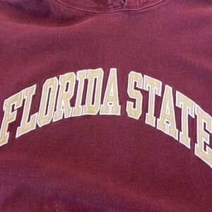 Vintage Florida State Seminoles Steve & Barrys Hoodie Sweatshirt 90s Pullover S‎